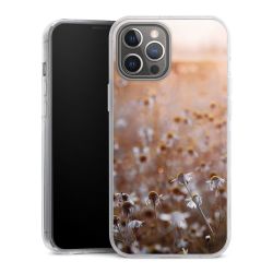 Hard Case transparent - 2in1