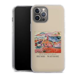 Hard Case transparent - 2in1