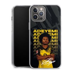 Hard Case transparent - 2in1