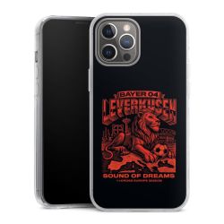 Hard Case transparent - 2in1