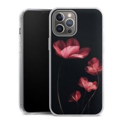 Hard Case transparent - 2in1