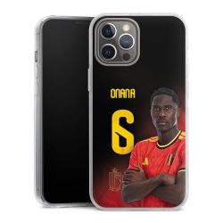 Hard Case transparent - 2in1