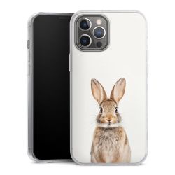 Hard Case transparent - 2in1