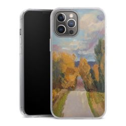 Hard Case transparent - 2in1