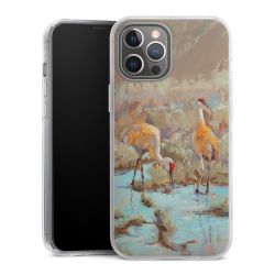 Hard Case transparent - 2in1