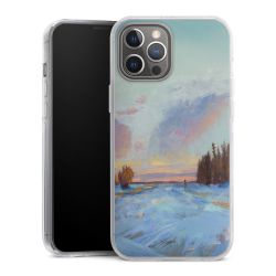 Hard Case transparent - 2in1