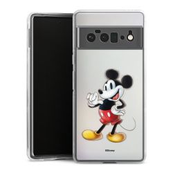 Hard Case transparent - 2in1