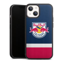 Holz Hard Case Walnuss