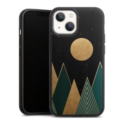 Holz Hard Case Walnuss