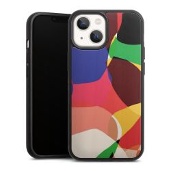 Holz Hard Case Walnuss