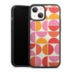 Holz Hard Case Walnuss