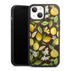 Holz Hard Case Walnuss