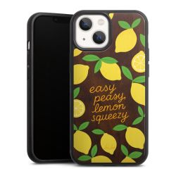 Holz Hard Case Walnuss