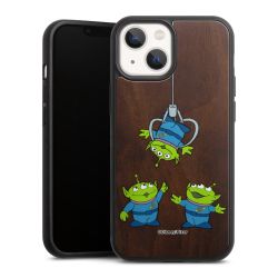 Holz Hard Case Walnuss