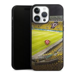 Holz Hard Case Walnuss