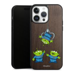 Holz Hard Case Walnuss