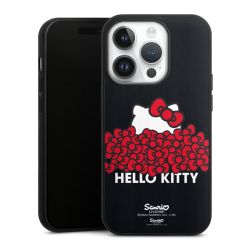 Holz Hard Case Walnuss