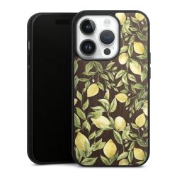 Holz Hard Case Walnuss