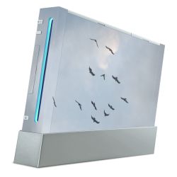 SkinVinyyli Konsoleille mattapinta