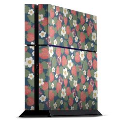 Folien für Spielekonsolen matt