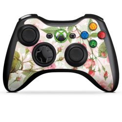 Folien für Controller matt