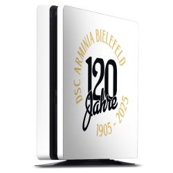 Folien für Spielekonsolen matt