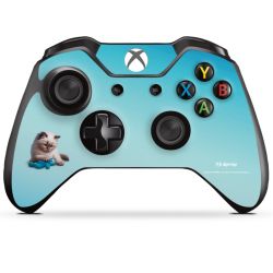 Foils for Controller matt