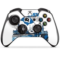 Folien für Controller matt