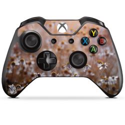 Foils for Controller matt