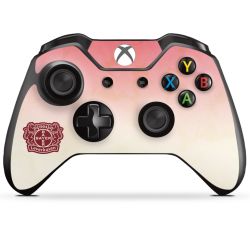 Folien für Controller matt