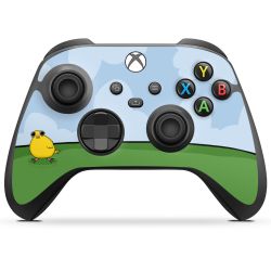 Folien für Controller matt