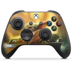 Folien für Controller matt