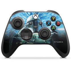 Folien für Controller matt