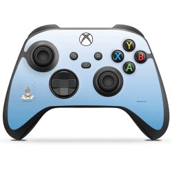 Folien für Controller matt