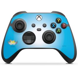 Folien für Controller matt