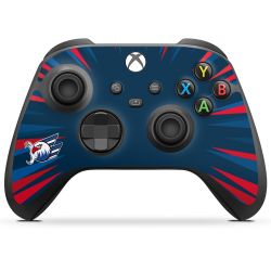 Folien für Controller matt