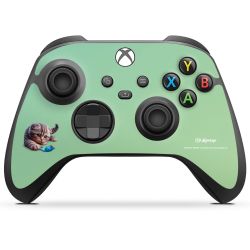 Foils for controller matt