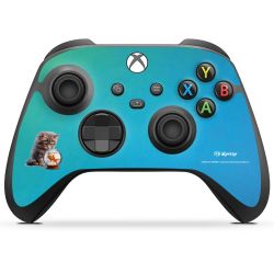 Foils for controller matt