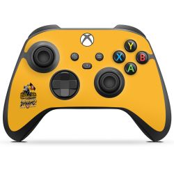 Folien für Controller matt