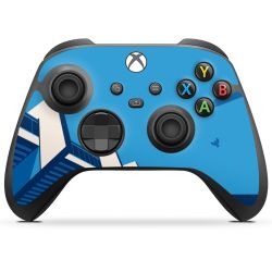 Folien für Controller matt