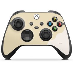 Folien für Controller matt