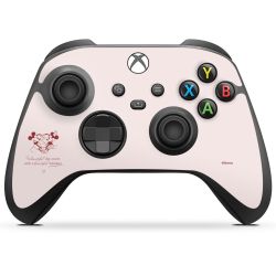 Folien für Controller matt