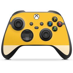 Folien für Controller matt