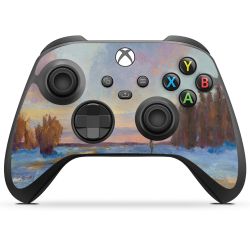 Folien für Controller matt