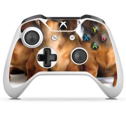 Foils for Controller glossy