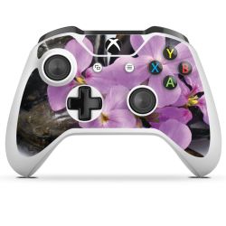 Foils for Controller glossy