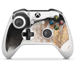 Foils for Controller glossy