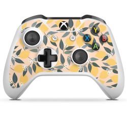 Foils for Controller glossy