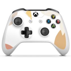 Foils for Controller glossy