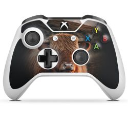 Foils for Controller glossy